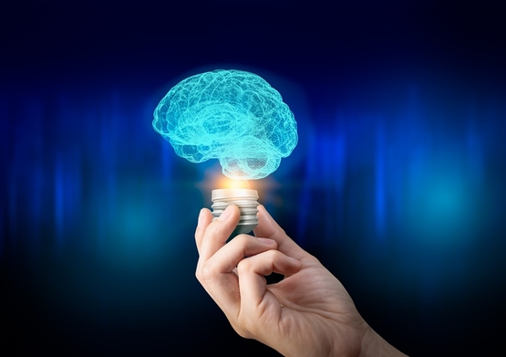 תמונת מופע: מיתוסים במדעי המוח כחלון להבנת האינטליגנציה